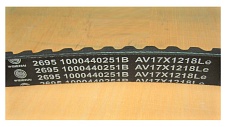 Ремень приводной WP4.1D100E200 /Belt ,1000440251B, AV17х1218Le